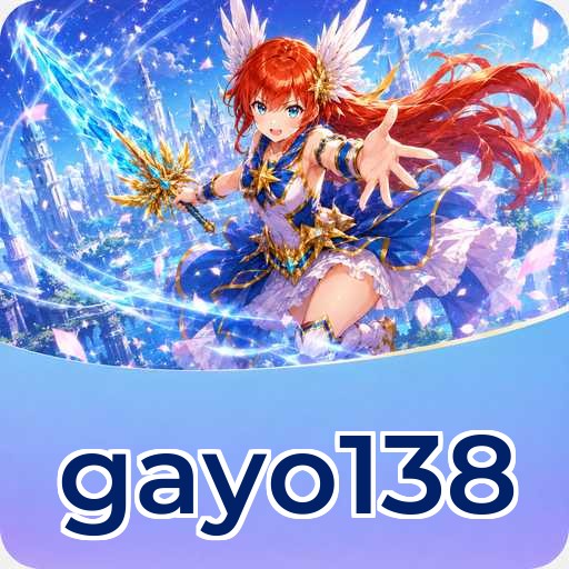 gayo138 Features